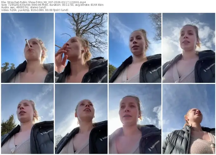 stripchat-mrs_mr_007-03-17-2026-12-20-01