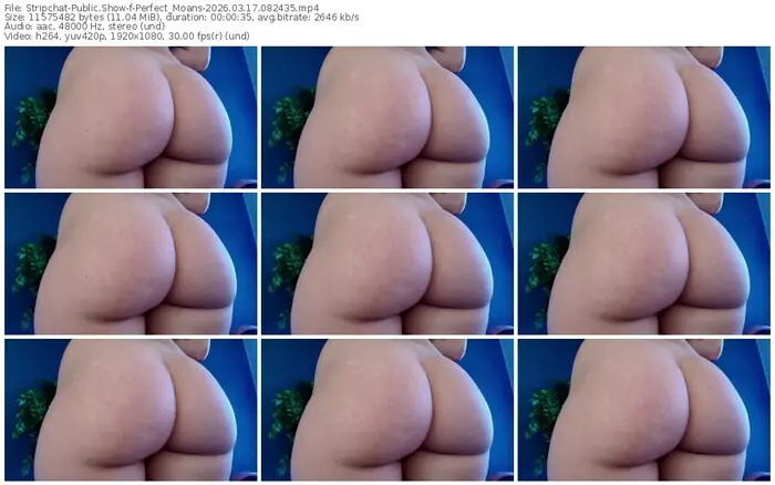 stripchat-perfect_moans-03-17-2026-08-24-35