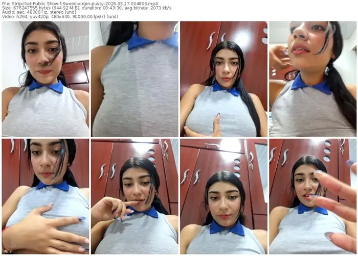 stripchat-sweed-virgin-pussy-03-17-2026-00-48-05