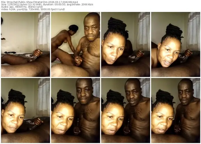 stripchat-waiterzim-03-17-2026-00-42-48