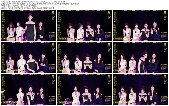 stripchat-xkch-001-03-17-2026-16-41-20