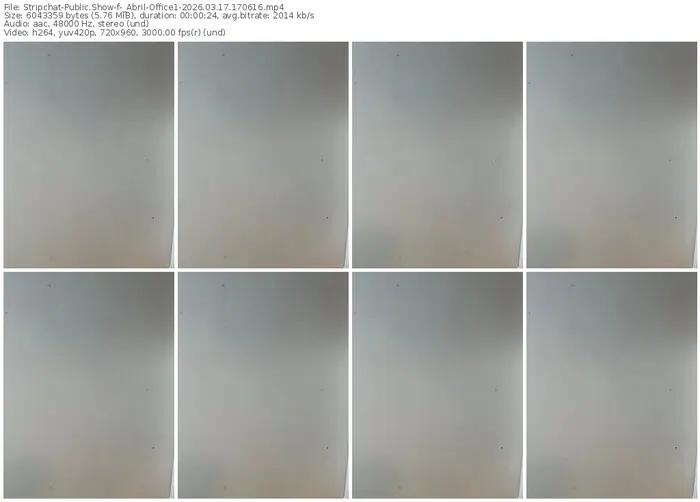 stripchat-_abril-office1-03-17-2026-17-06-16
