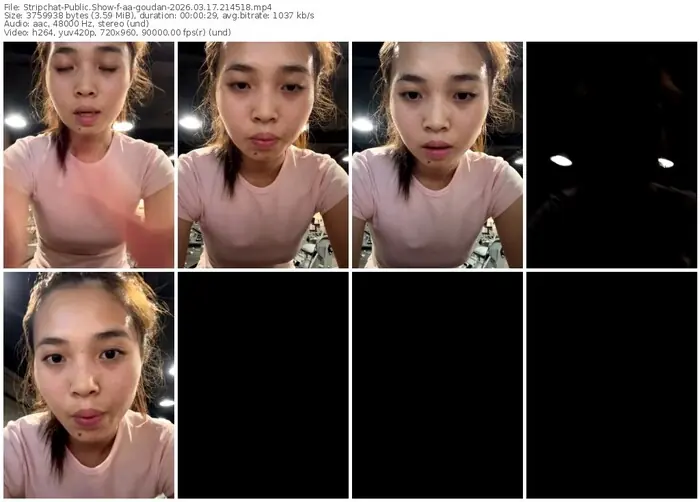 stripchat-aa-goudan-03-17-2026-21-45-18