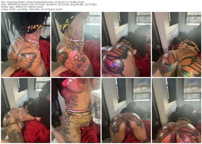 stripchat-butterflybootyy-03-17-2026-19-38-52