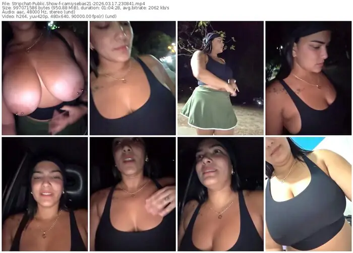 stripchat-camiysebas21-03-17-2026-23-08-41