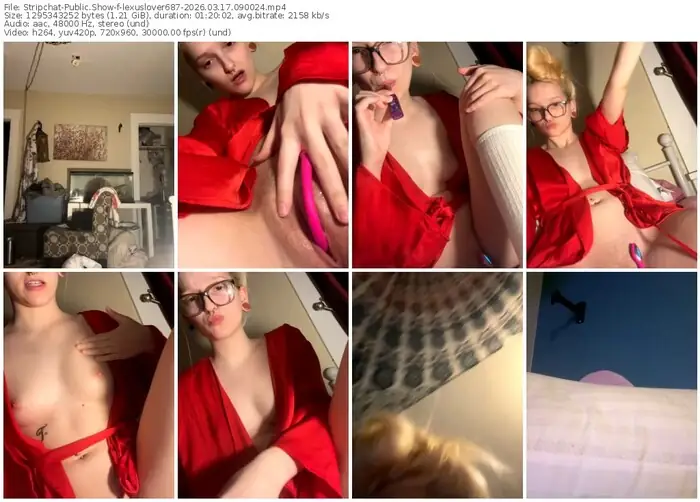 stripchat-lexuslover687-03-17-2026-09-00-24