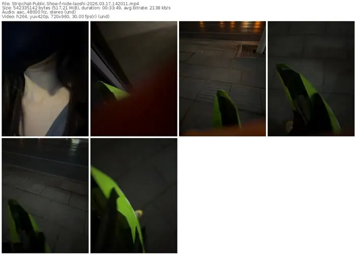 stripchat-nide-laoshi-03-17-2026-14-20-11