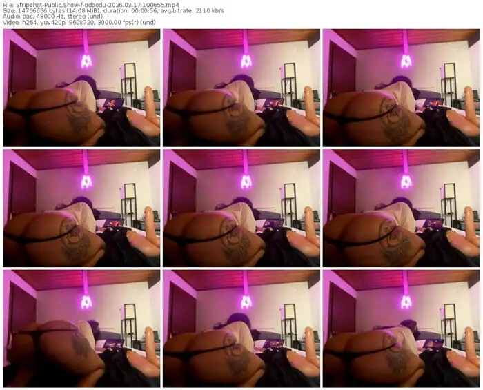 stripchat-odbodu-03-17-2026-10-06-55