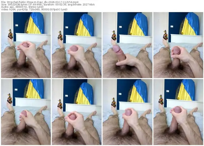 stripchat-davi_dlx-03-17-2026-11-21-54