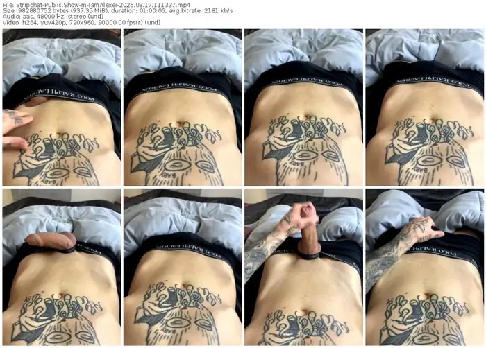 stripchat-iamalexei-03-17-2026-11-13-37