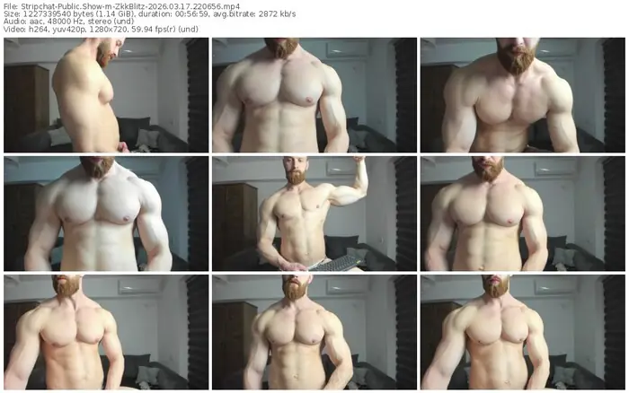 stripchat-zkkblitz-03-17-2026-22-06-56