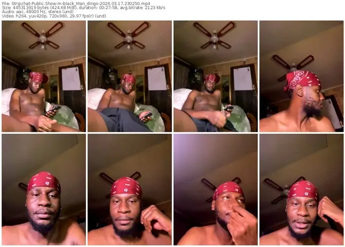 stripchat-black_man_dingo-03-17-2026-23-02-50