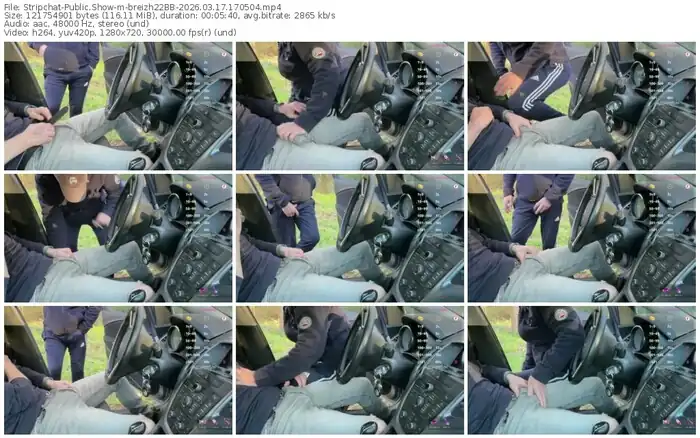 stripchat-breizh22bb-03-17-2026-17-05-04