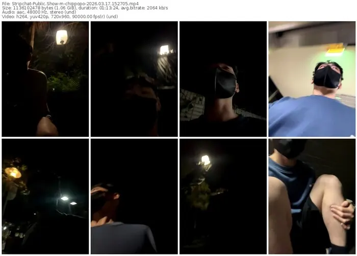 stripchat-chippopo-03-17-2026-15-27-05