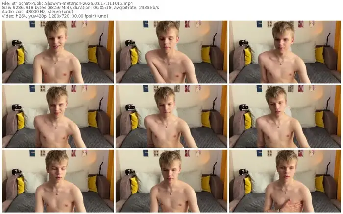 stripchat-metarion-03-17-2026-11-10-12