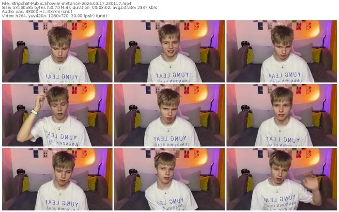 stripchat-metarion-03-17-2026-23-01-17