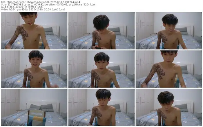 stripchat-paofu-001-03-17-2026-13-12-44
