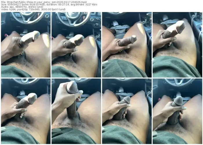 stripchat-your_pervy_son-03-17-2026-20-43-26