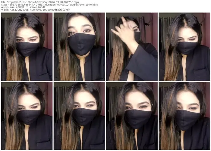 stripchat-bold-cat-03-18-2026-00-27-56