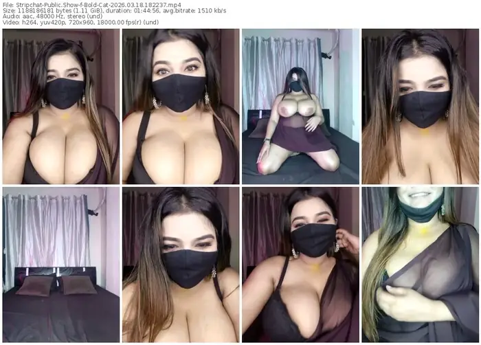 stripchat-bold-cat-03-18-2026-18-22-37