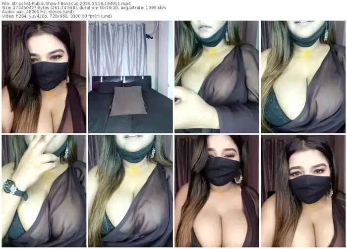 stripchat-bold-cat-03-18-2026-19-49-11