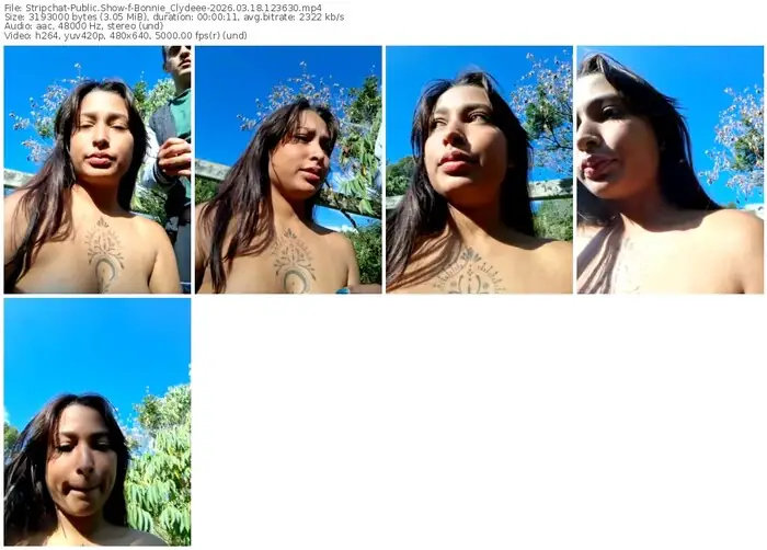 stripchat-bonnie_clydeee-03-18-2026-12-36-30