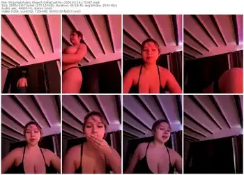 stripchat--sofiacastillo--03-19-2026-17-03-47