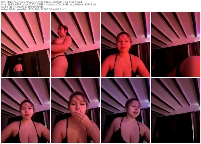 stripchat--sofiacastillo--03-19-2026-17-03-47