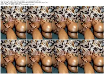 stripchat-losses1834-03-19-2026-02-22-27