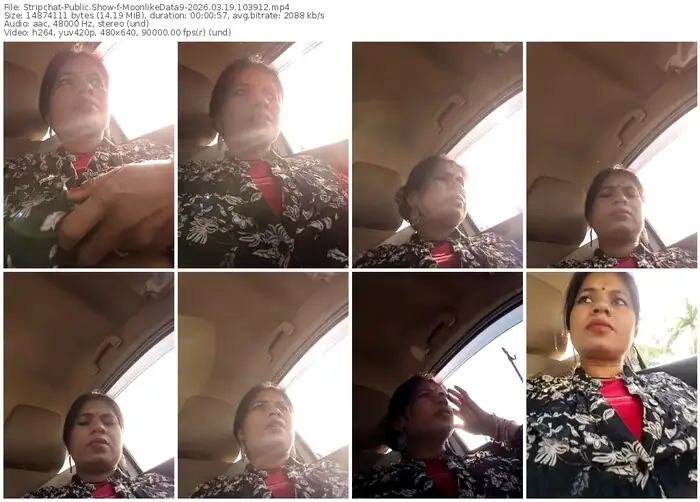 stripchat-moonlikedata9-03-19-2026-10-39-12