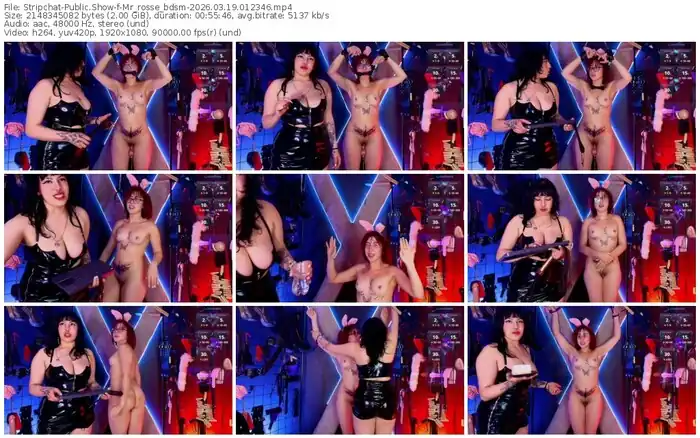 stripchat-mr_rosse_bdsm-03-19-2026-01-23-46