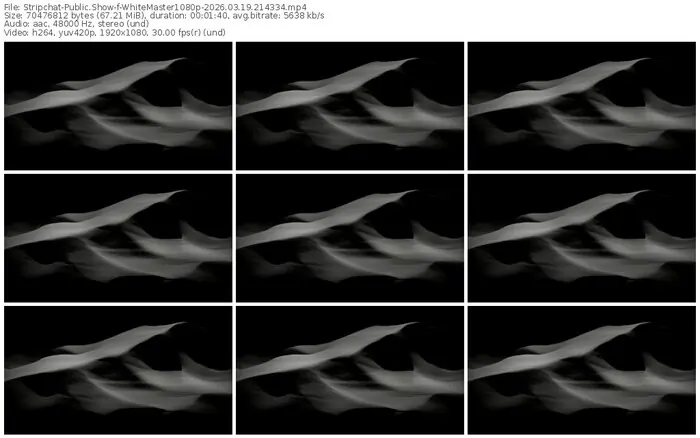 stripchat-whitemaster1080p-03-19-2026-21-43-34