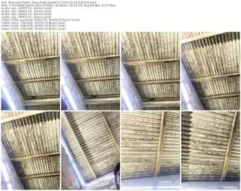 stripchat-ale_sweet53-03-19-2026-03-53-03