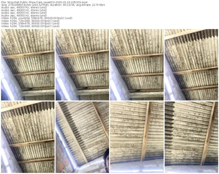 stripchat-ale_sweet53-03-19-2026-03-53-03