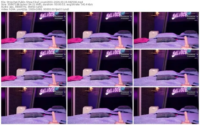 stripchat-bull_vixen2001-03-19-2026-08-25-06