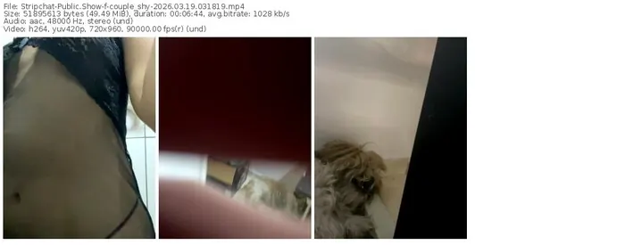 stripchat-couple_shy-03-19-2026-03-18-19