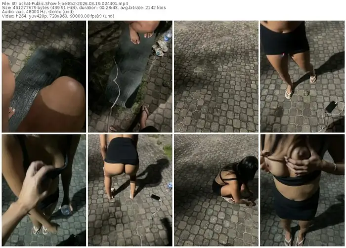 stripchat-joel852-03-19-2026-02-44-01