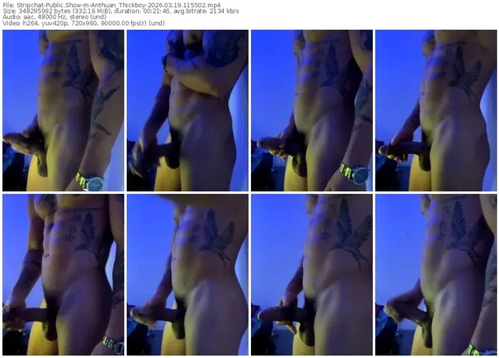 stripchat-anthuan_thickboy-03-19-2026-11-55-02