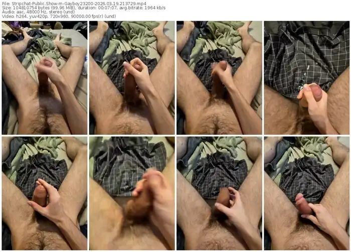 stripchat-gayboy23200-03-19-2026-21-37-29