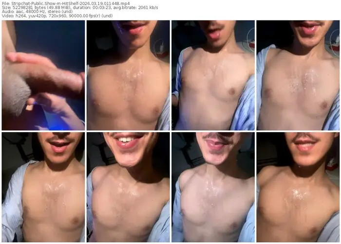 stripchat-hitshelf-03-19-2026-01-14-48