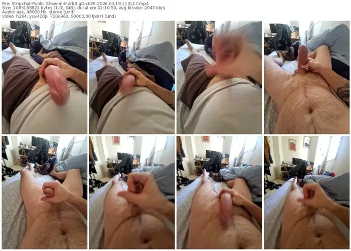 stripchat-markbigdick35-03-19-2026-11-31-17