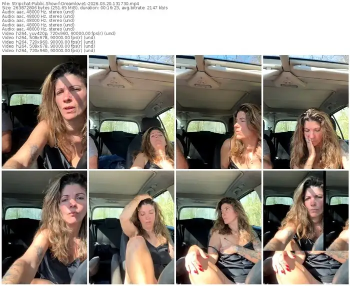stripchat-dreamlove1-03-20-2026-13-17-30
