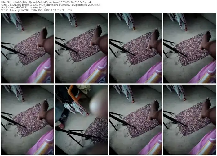 stripchat-feltedeuropium-03-20-2026-09-03-48