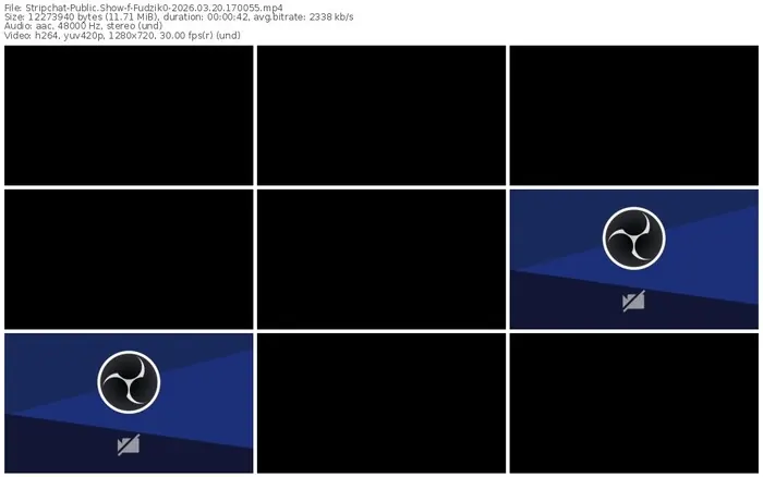 stripchat-fudzik0-03-20-2026-17-00-55