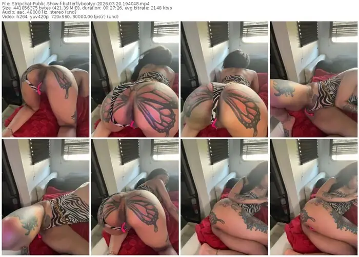 stripchat-butterflybootyy-03-20-2026-19-40-48