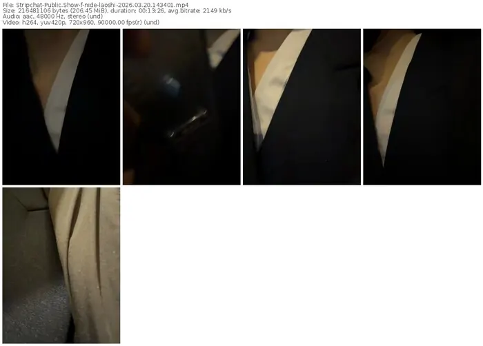 stripchat-nide-laoshi-03-20-2026-14-34-01