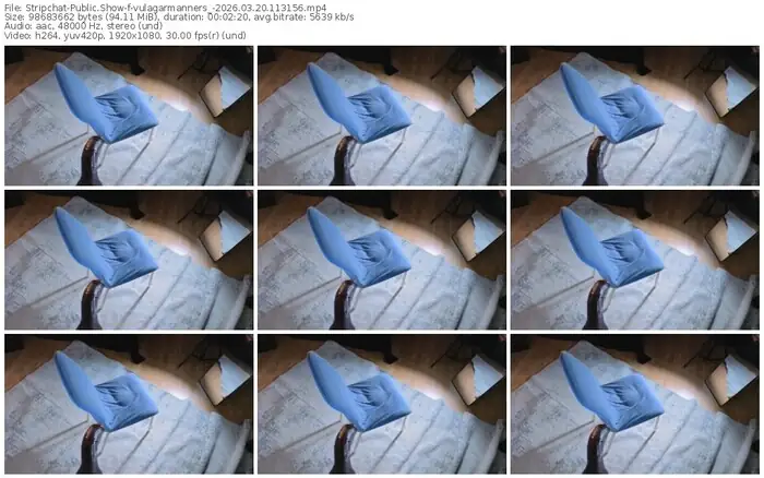stripchat-vulagarmanners_-03-20-2026-11-31-56