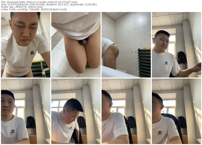 stripchat-ccss28c-03-20-2026-07-24-27