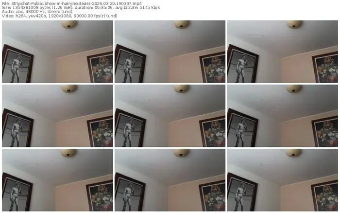 stripchat-hairyncuteass-03-20-2026-19-03-37