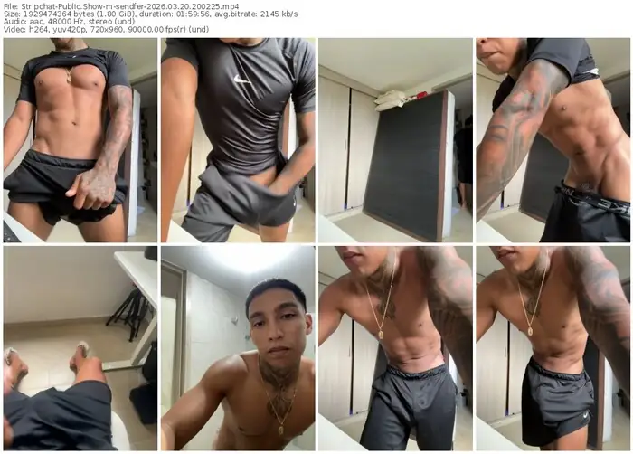 stripchat-sendfer-03-20-2026-20-02-25